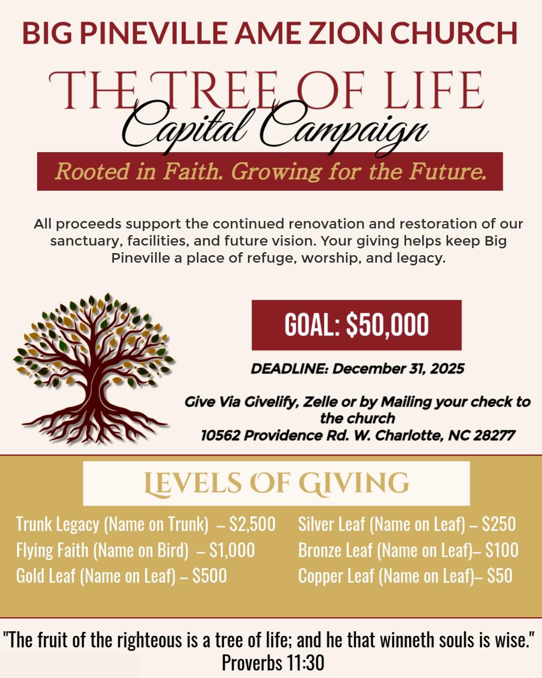 Tree of Life Capital Campaign